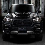 Toyota Hilux Wald 2
