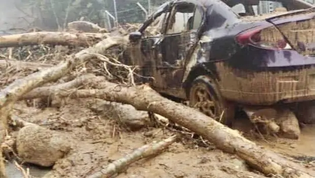 Banjir Kedah balak 1.0